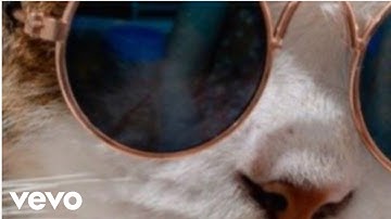 vevo - BSDevs Test V3