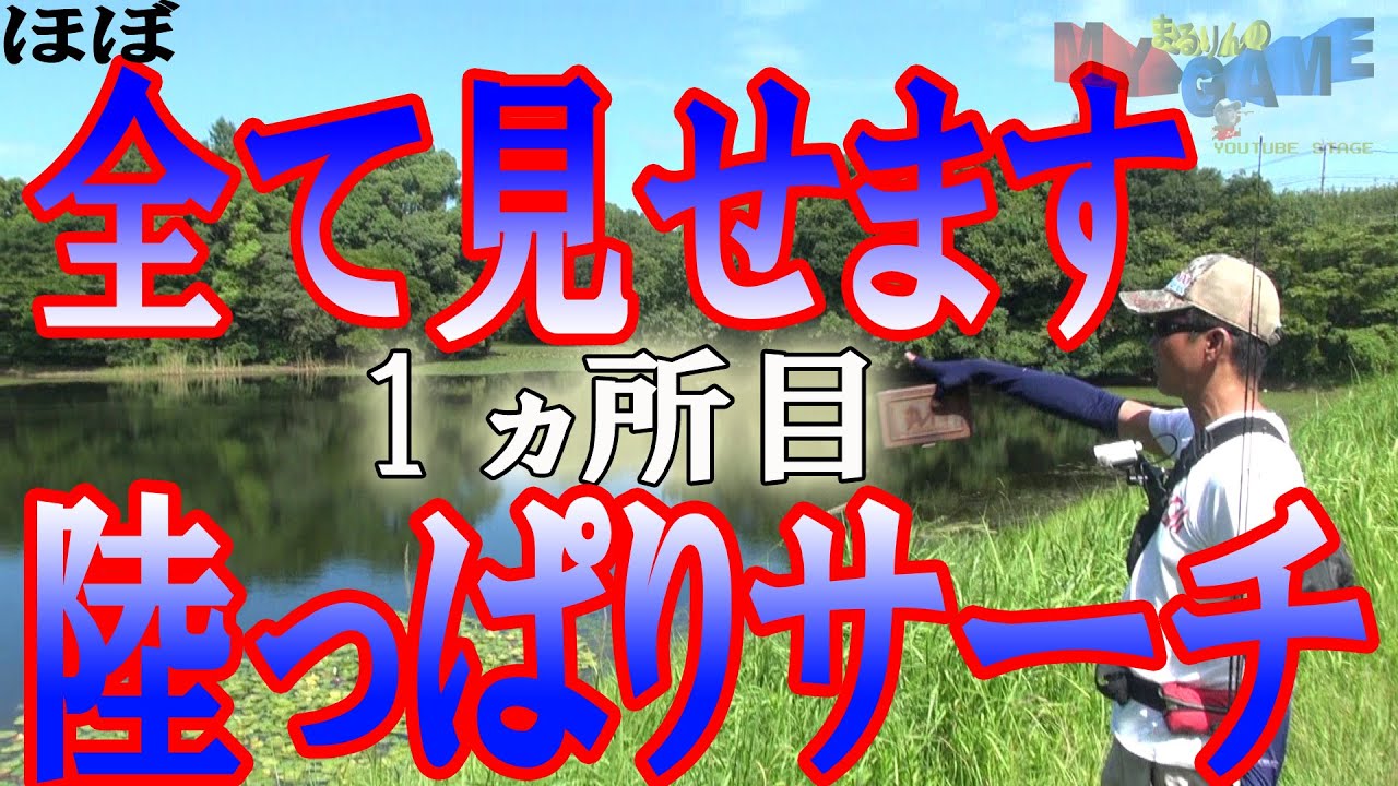 バス釣り 2025印旛沼中央排水路に春が来た！ バス釣り バスパラ振り出し