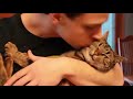 Funny Cats React To Kisses