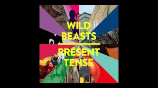 wild beasts  / present tense /  nature boy