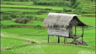 kebogiro - Instrumen asik buat nyantai