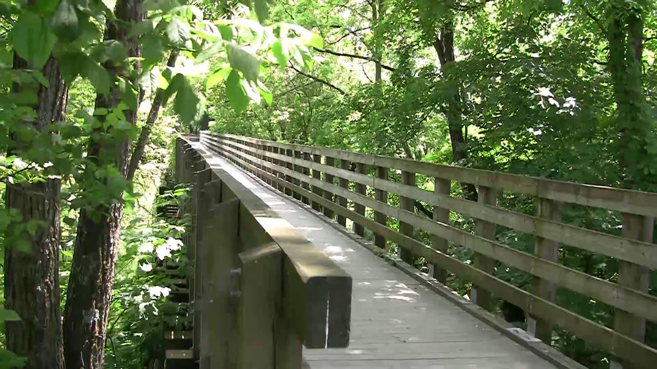 virginia-tech-grad-students-study-trails-youtube