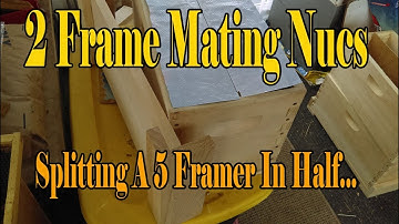 2 Frame Mating Nucs... Splitting A 5 Framer In Half (Double 5 Frame Nucs)