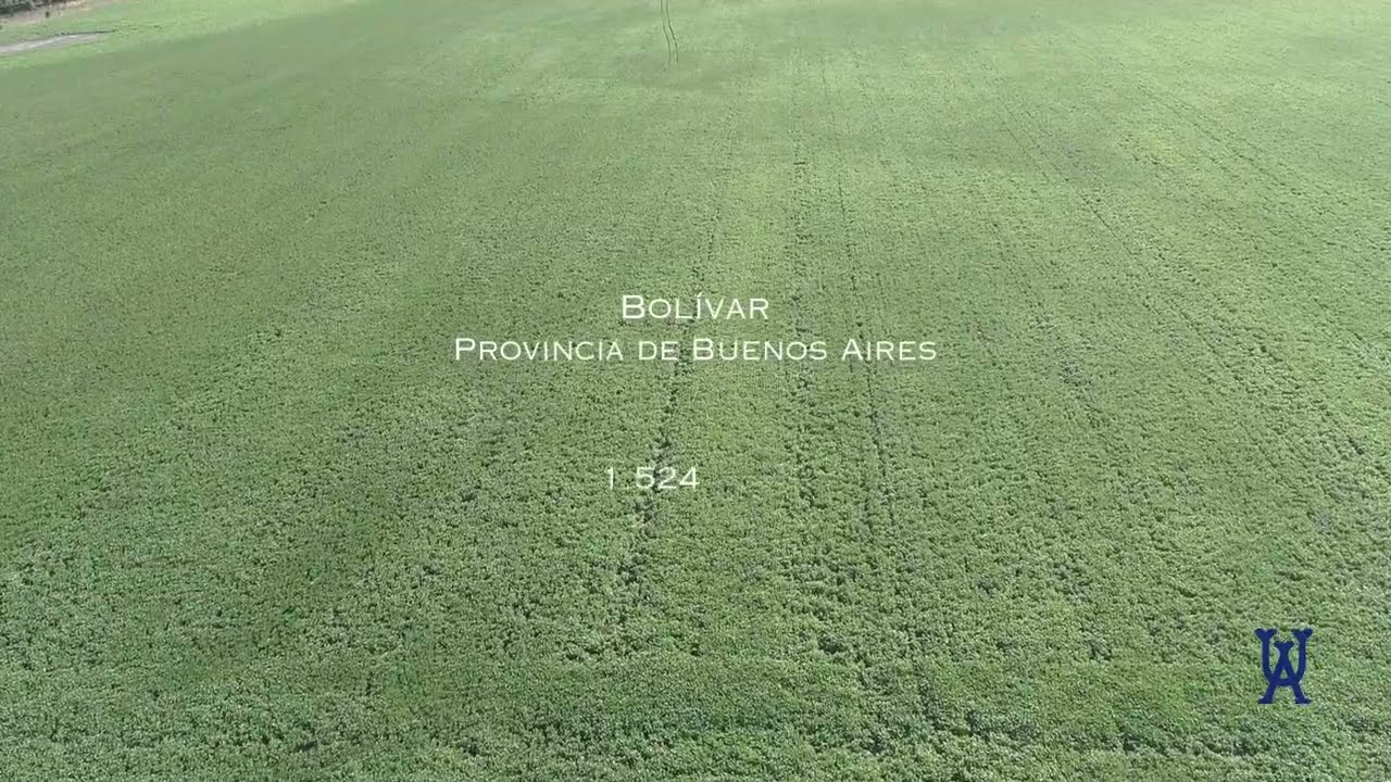 Alzaga Unzué - Bolívar - Buenos Aires - 1.524