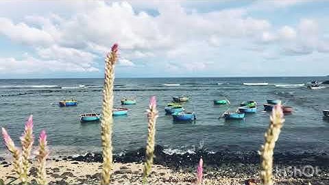 Hang Yến, Bình Sơn, Quảng Ngãi | NT PHAY|