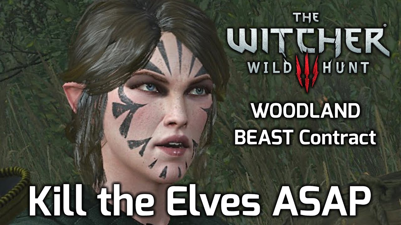 Witcher 3 Contract: The Woodland Beast - Kill The Scoia'Tael Elves ASAP - Alternative Choice