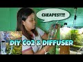 CHEAPEST! DIY Co2 and Diffuser for Planted Aquarium