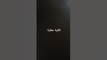 تلاوة عطرة #القرآن_الكريم #راحة_نفسية #صلوا_على_النبي