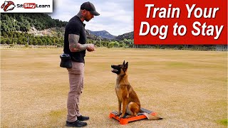 Dog Training Basics - Teaching Your Dog to Stay  by Dustin Winn