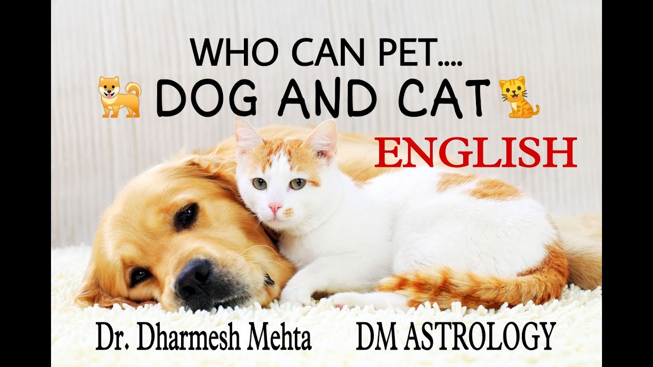 Who can Pet Dog & Cat by Dr. Dharmesh M. Mehta