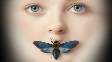 The Butterfly (Official Music Video)