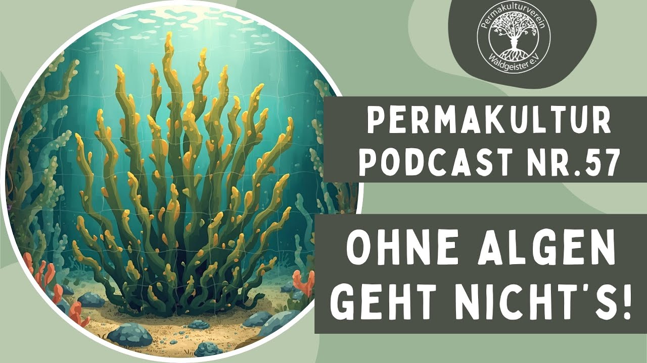 Was können Algen? Permakultur-Podcast Nr. 57 mit Dr. Heidi Wichmann