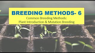 BREEDING METHODS-6: Common Breeding Methods: Plant Introduction & Mutation Breeding