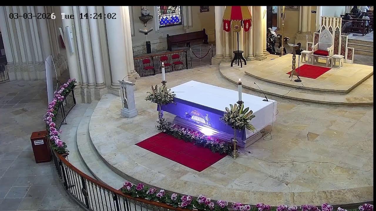 Transmisión Eucaristía Basílica de Lourdes   2024