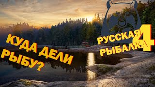 Русская рыбалка 4 ► Куда дели рыбу?