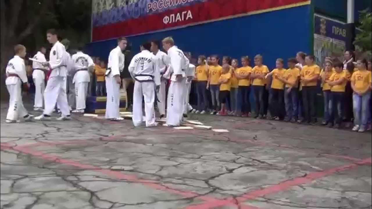 Девять призовых мест заняли хабаровчане на турнире по тхэквондо (ФОТО) - Новости