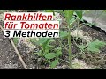 Rankhilfen für Tomaten | 3 Möglichkeiten und unser Favorit! Tomatenstab, Tomatenhaken, Clips, Band..