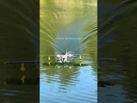 Avios Albatross Flying Boat Short