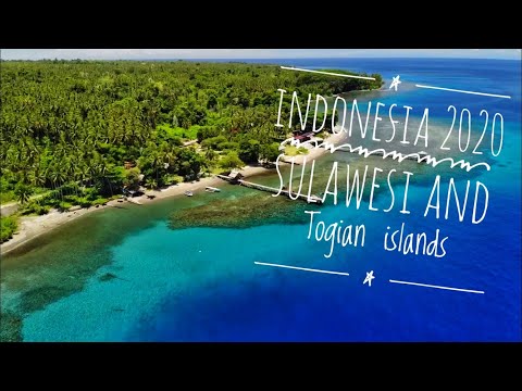 Video: Öarna i Indonesien