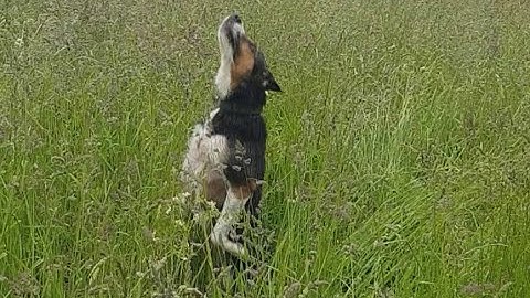 Sage 200c Report Designer - By Request from M2M Technology