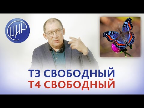 Гормоны щитовидной железы. Оптимальное значение индекса т3 свободный \\ т4 свободный