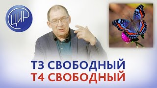 Гормоны щитовидной железы. Оптимальное значение индекса т3 свободный \ т4 свободный