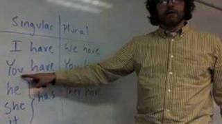 The verb "have" - Lesson Nine Details