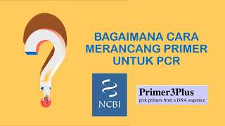 Desain Primer untuk PCR (NCBI dan Primer3 Plus) screenshot 4