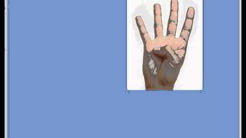 Programming Assignment 2