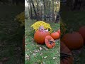 BABY PHOTOSHOOT IN A PUMPKIN - BEHIND THE SCENES OF FALL BABY PHOTO SHOOT #shorts #short #baby #bts