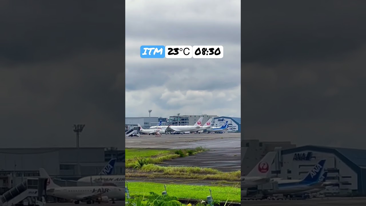 Airbus A350 JAL Cloudy Day Spotting Osaka International Airport #airbusa350 #spotting #jal
