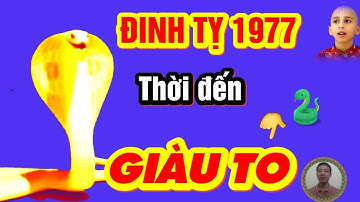 🔴 Bí Mật Chấn Động Giúp ĐINH TỴ 1977, Tráng Mọi Tai Ương,  HƯỞNG TRỌN LỘC TRỜI, Càng Già Càng Giàu