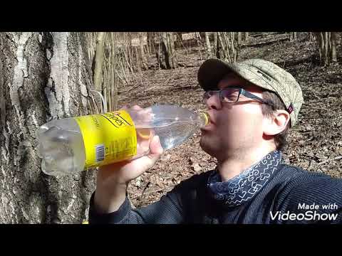 Video: Ako Piť Brezovú šťavu