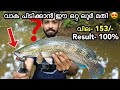 “വാഹ വരാൽ” പിടിക്കാണോ? ഇത് ഒന്ന് കണ്ടു നോക്കൂ😍 | snakehead fishing Kerala |Toman strike