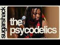 The Psycodelics - So Sweet (Live Acoustic Funk) | Sugarshack Sessions