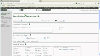 How to Use Xenbase Part 3: Advanced Expression and Literature Searches