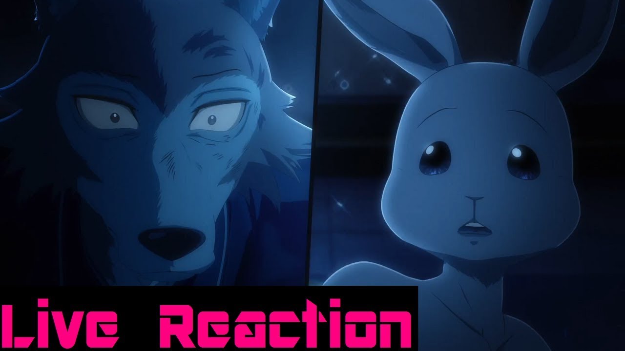 Beastars Episode 10 Live Reaction - YouTube