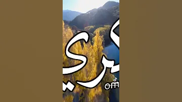 اغنية لك شو ها العود المفتري من اجمل الحالات 
