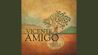 Video thumbnail of "Vicente Amigo - Tierra"
