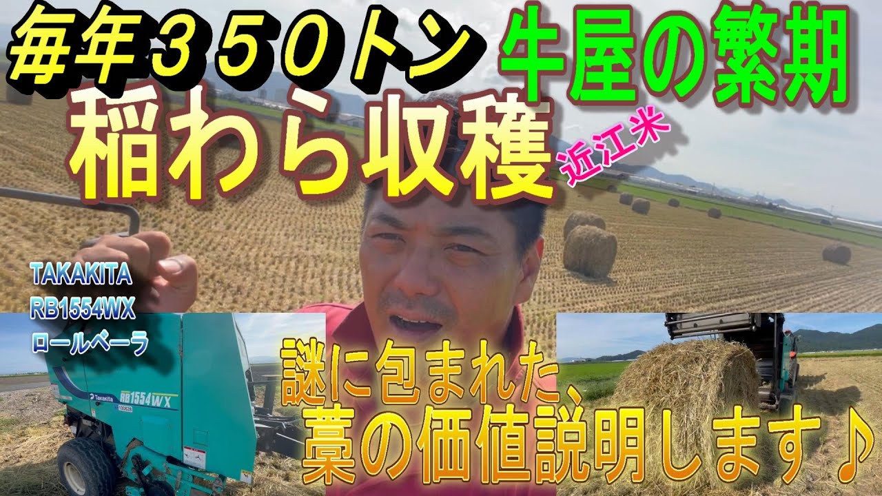 かめこう　毎年350㌧収穫の稲わらロール作業♪何故そこまで頑張る？藁の価値とは？＃かめこうチャンネル