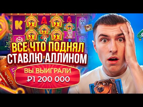 ВСЕ ЧТО ДАСТ БОНУСКА В THE DOG HOUSE MEGAWAYS СТАВЛЮ ALL IN В CRAZY TIME / ПОЙМАЛ ЗАНОС?