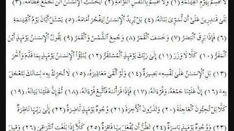 سورة القيامة الشيخ حاتم فريد