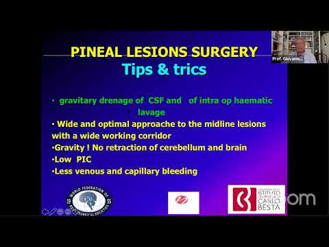 WFNS Neurosurgical Anatomy 11th Webinar