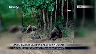Zararsız Dediği Ayının Saldırısına Uğradı