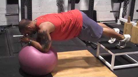 DeFrancosGym.com - Exercise Index: Stability ball plank (ball under arms, feet on bench)