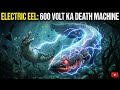 Electric Eel: 600 Volt Ka Death Machine – Amazon Ka Sabse Khatarnaak Fish!? ⚡🐍