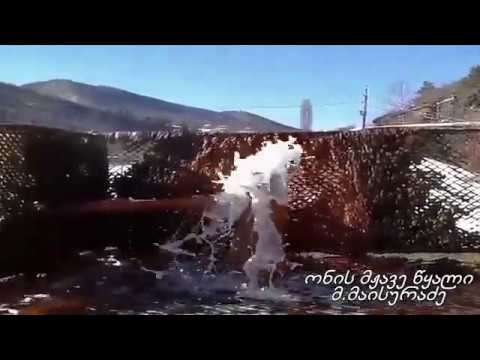 ვიდეო: მჟავე წყალი