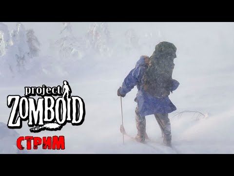 ЛЮТАЯ ЗИМА  | Project Zomboid 41.78 | СТРИМ