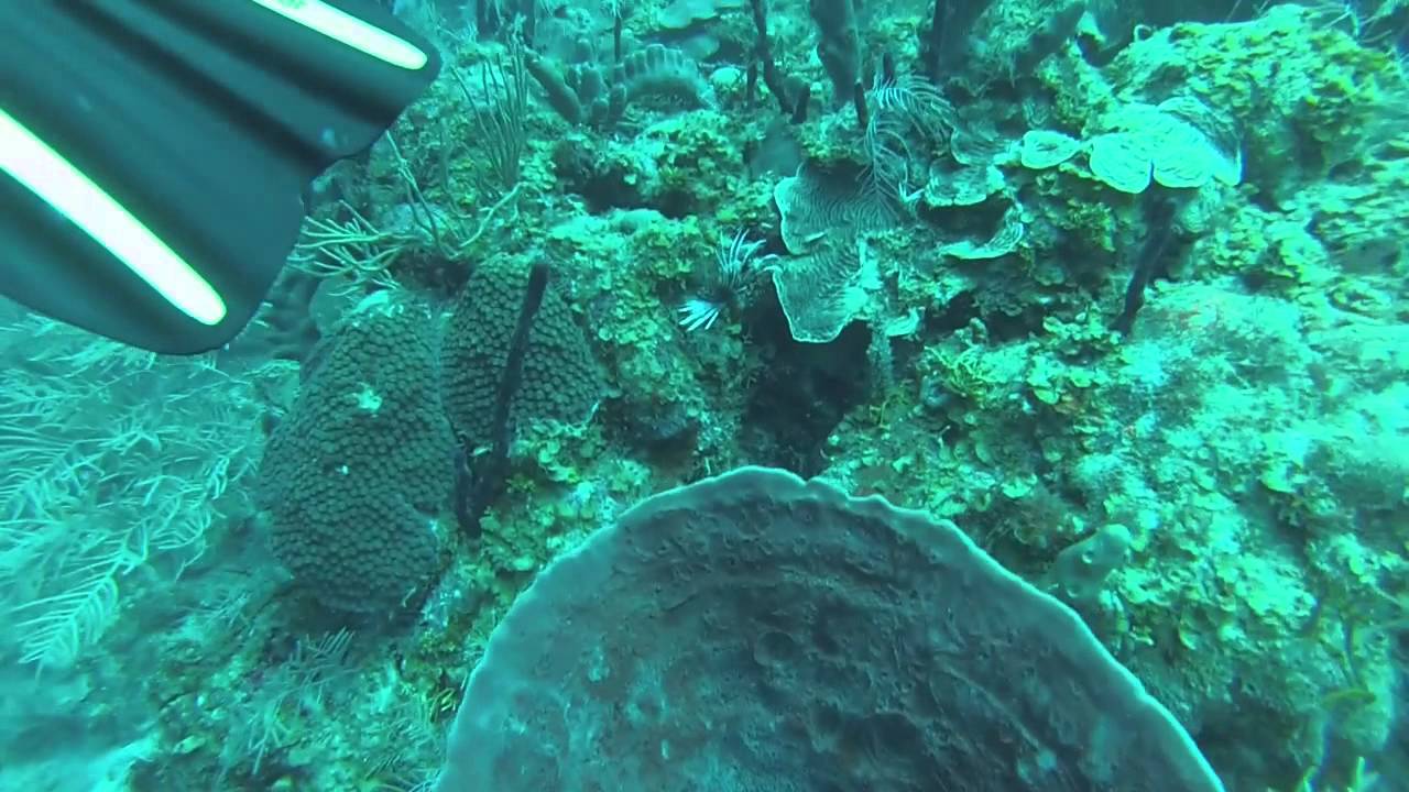 St Croix Dive Trip 09 20 14 YouTube