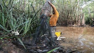 SURGANYA IKAN BERADA DI RAWA INI DAN PEMANGSA YANG MASUK MEMBUAT KAMI KETAKUTAN... !!!